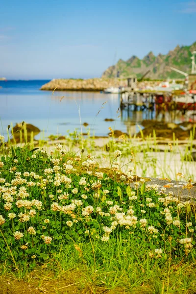 Fishing port in Bleik village, Andoya island — Stock Photo, Image