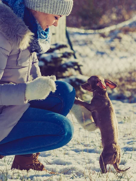 Mulher brincando com cão durante o inverno — Fotografia de Stock