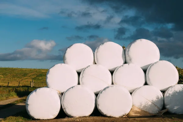 Bale of hay wrapped in plastic foil