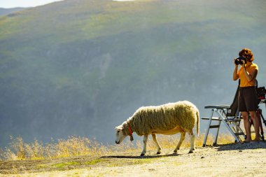 Norveç doğa turizm alarak fotoğraf