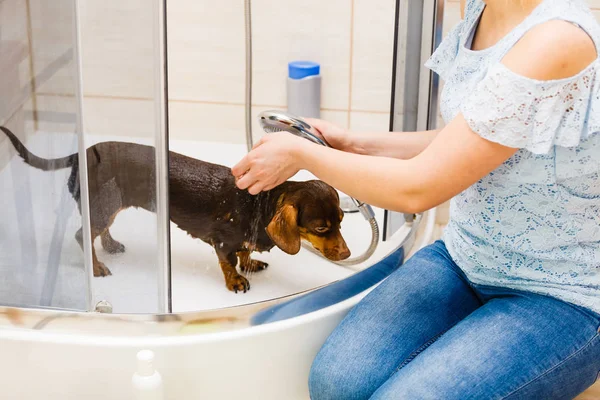 Mulher tomando banho seu cão — Fotografia de Stock