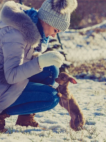 Mujer jugando con perro durante el invierno —  Fotos de Stock