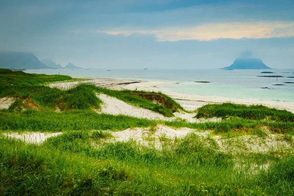 Mořské pobřeží travnaté duny Andoya Norsko — Stock fotografie