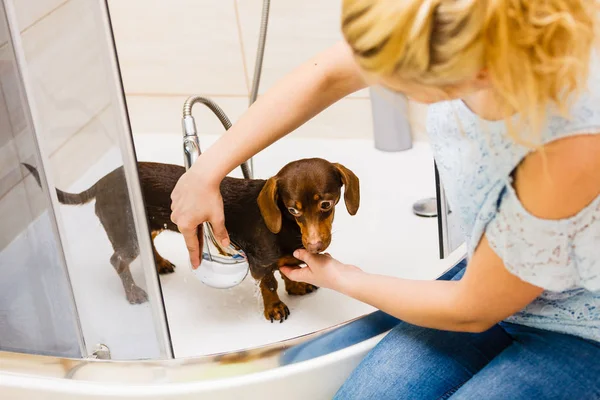 Mujer duchando su perro — Foto de Stock
