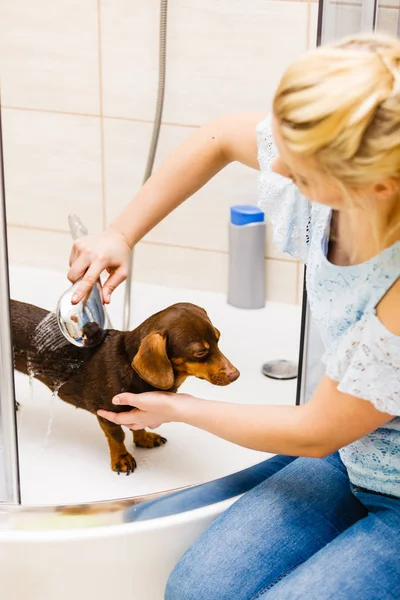 Woman showering her dog — Stock Photo, Image