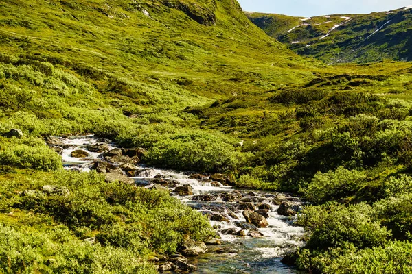 河流在山区， 挪威. — 图库照片