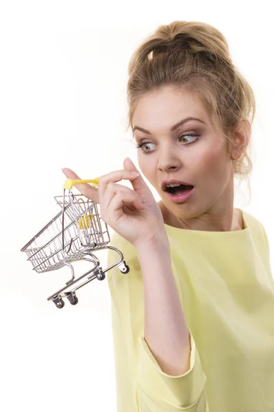 Mujer sosteniendo pequeño carrito de compras —  Fotos de Stock