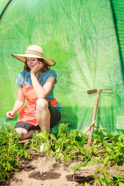 Wanita dengan alat berkebun bekerja di rumah kaca — Stok Foto