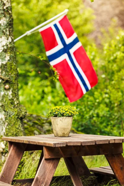 Norveç bayrağı ve yeşil piknik alanları — Stok fotoğraf