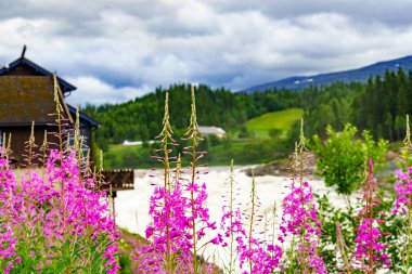 Formofossen Şelalesi, Norveç 'te güçlü nehir