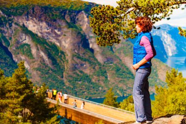 Turist zevk dağlar Fjord View, Norveç