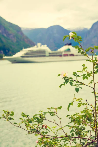 Bateau de croisière sur le fjord nordique — Photo