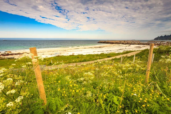 Mar costa praia de areia no resort Bleik Andoya Noruega — Fotografia de Stock