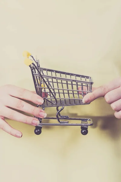 Mujer sosteniendo pequeño carrito de compras —  Fotos de Stock