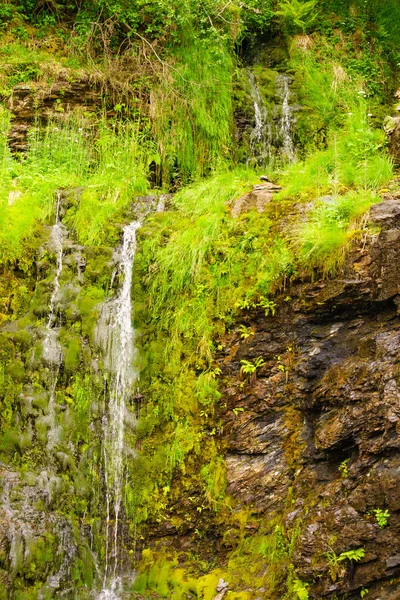 Pequena cachoeira nas montanhas, Noruega . — Fotografia de Stock