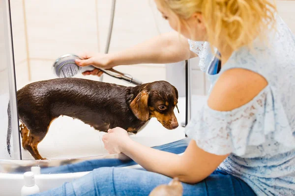 Mujer duchando su perro — Foto de Stock