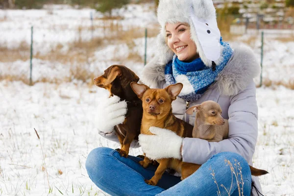 Mulher brincando com cães durante o inverno — Fotografia de Stock