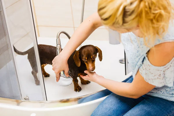 Mujer duchando su perro — Foto de Stock