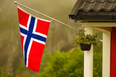 yeşil doğa üzerinde norveç bayrağı