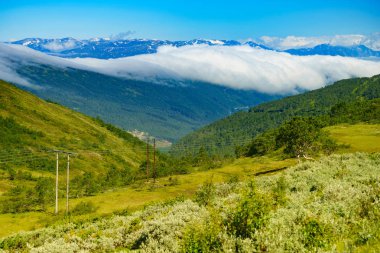 Dağlar yaz manzara, Norveç