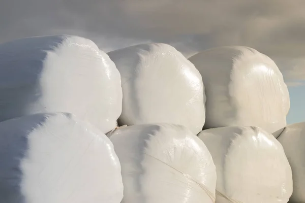 Bale de heno envuelto en papel de plástico —  Fotos de Stock