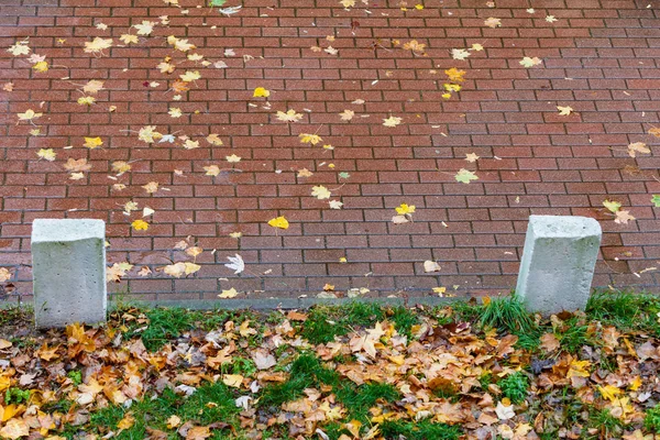 Höst trottoaren med nedfallna löv — Stockfoto