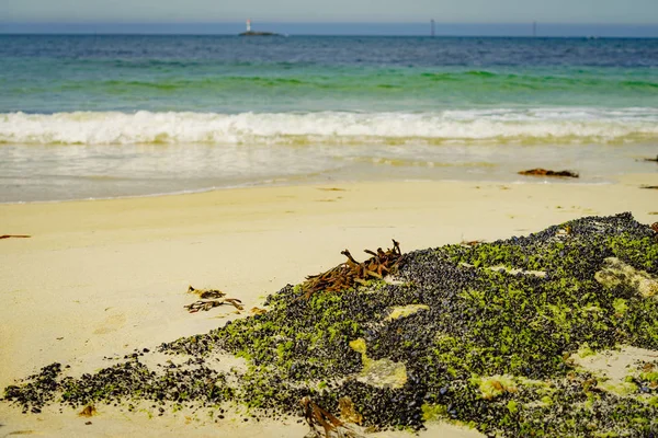 Sand strand med skal som täcker sten klippor — Stockfoto