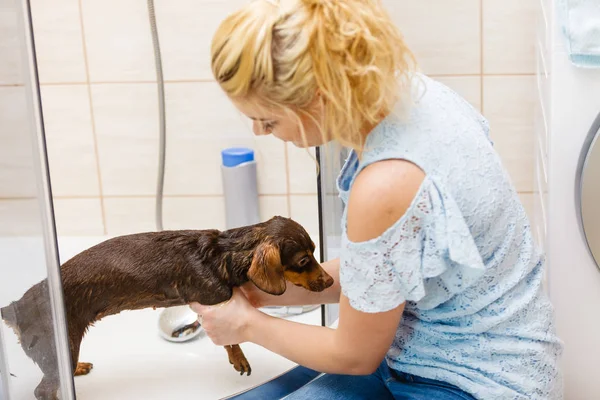 Mulher tomando banho seu cão — Fotografia de Stock