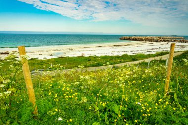 Deniz kıyısında kumlu plaj tatil Bleik Andoya Norveç