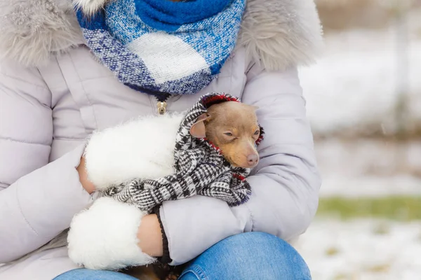 Abraço menina aquecendo seu cão no dia frio — Fotografia de Stock