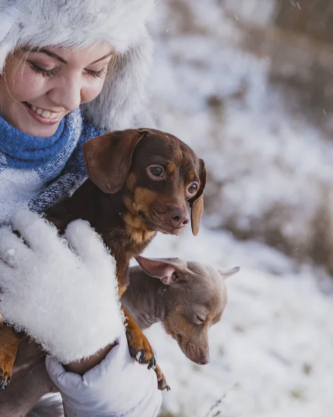 Köpeklerle kış aylarında oynayan kadın