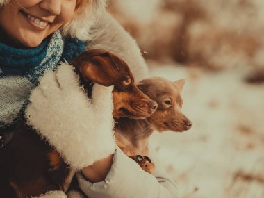 Köpeklerle kış aylarında oynayan kadın