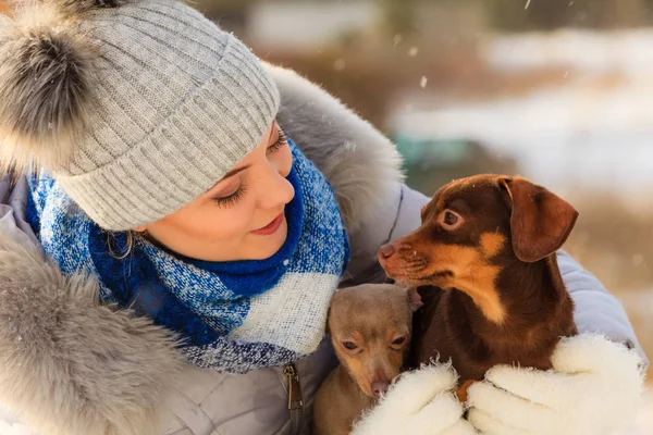 Mujer jugando con perros durante el invierno —  Fotos de Stock