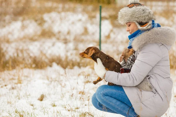 Mujer jugando con perros durante el invierno —  Fotos de Stock