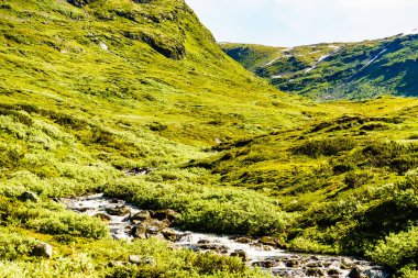 Dağlarda nehir deresi, Norveç.