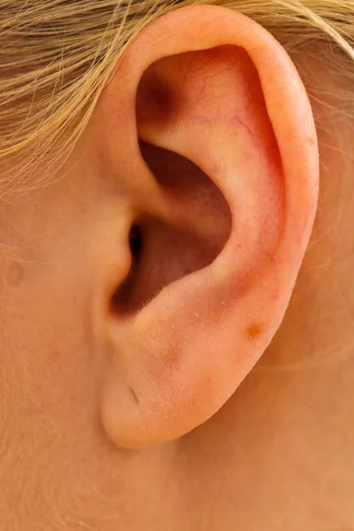 Primer plano de la oreja mujer — Foto de Stock