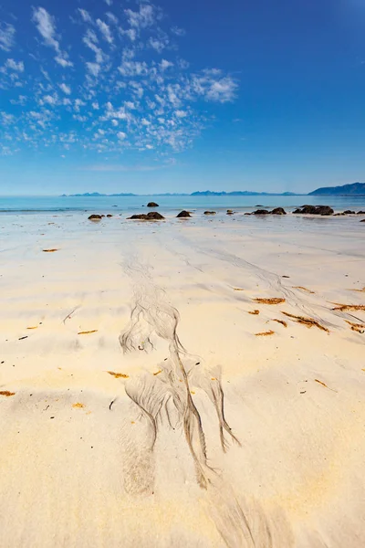 Havet med sandstrand, Lofoten Norge — Stockfoto