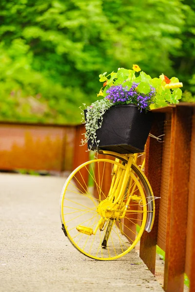 Bicicleta com flores decoração, Noruega — Fotografia de Stock