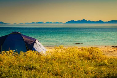 Sahilde çadır deniz kıyısında, Lofoten Norveç