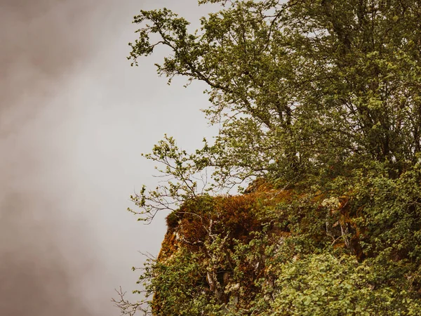 Foggy Misty landskap grön natur i Norge — Stockfoto