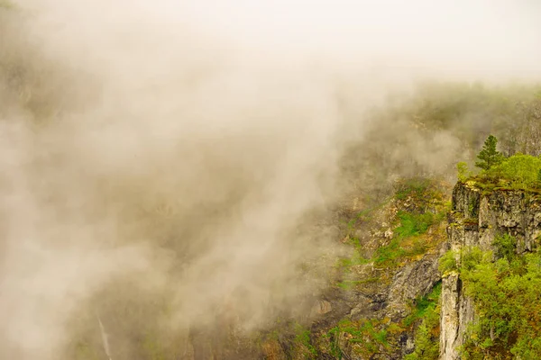 Köd ködös táj zöld természet Norvégiában — Stock Fotó