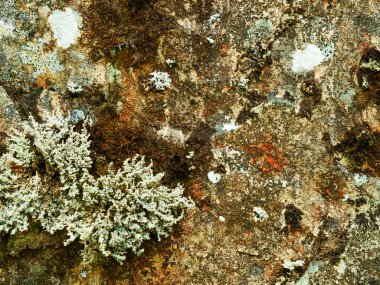 Taş duvar kaya yüzeyi arka planı