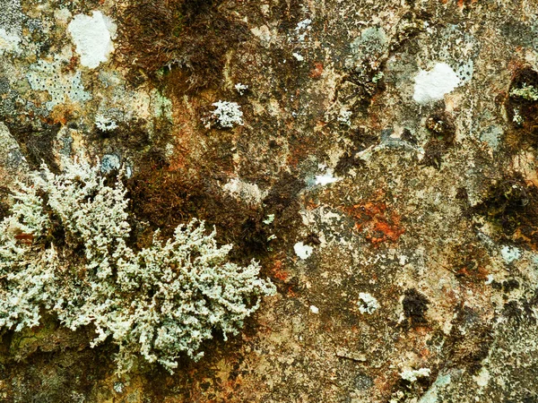 Taş duvar kaya yüzeyi arka planı