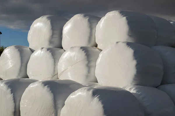 Bale de feno envolto em folha de plástico — Fotografia de Stock