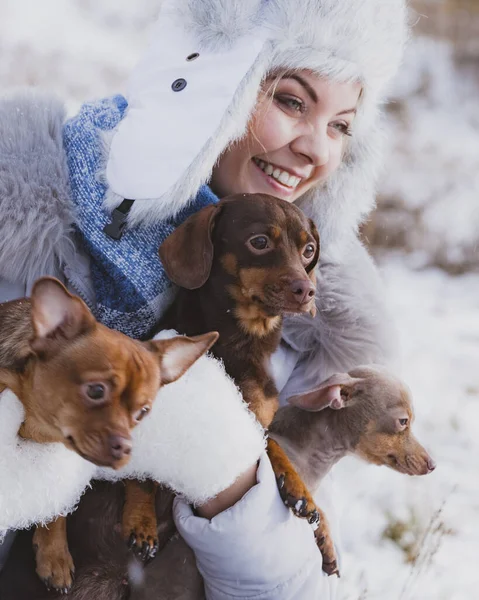 Mujer jugando con perros durante el invierno —  Fotos de Stock