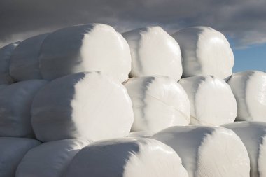 Balya saman plastik folyo sarılmış