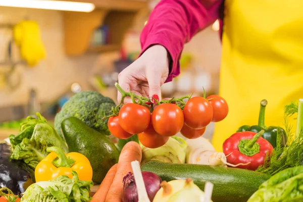 Vele gezonde kleurrijke groenten — Stockfoto