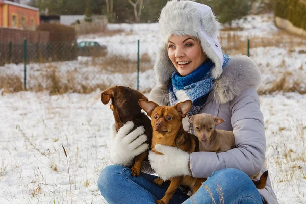 Mujer jugando con perros durante el invierno —  Fotos de Stock