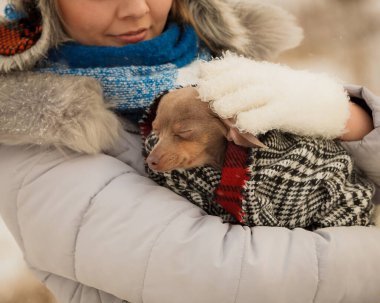 Küçük köpeğini kışın ısınma kadın kucaklama