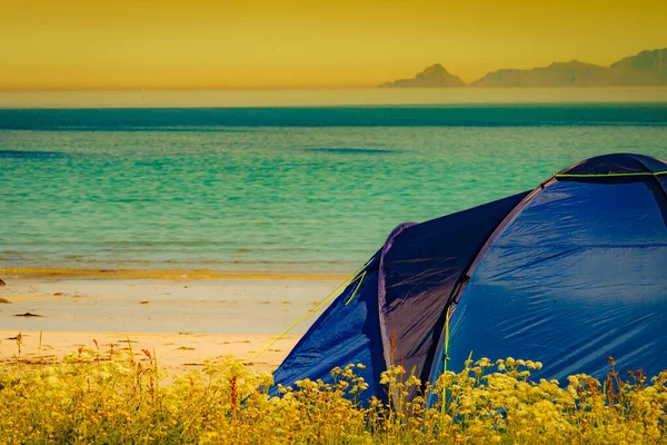 Seascape with tent on beach, Lofoten Norway — Stock Photo, Image